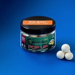 elit-b55-szornyrak-sajt