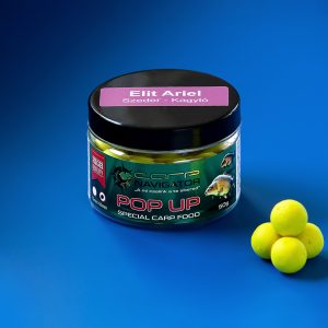 elite-ariel-szeder-kagylo