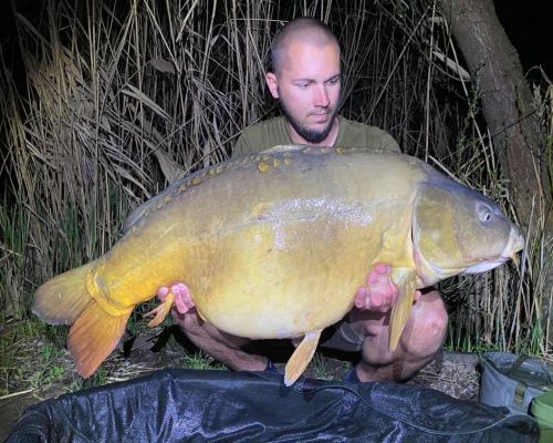 n.-joci-szcsit-patrik-2730kg-east-side