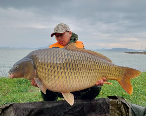 ny.jani-19625kg-balaton-2021.10-ariel
